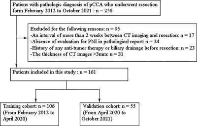 CT-Based Radiomics Analysis for Noninvasive Prediction of Perineural Invasion of Perihilar Cholangiocarcinoma